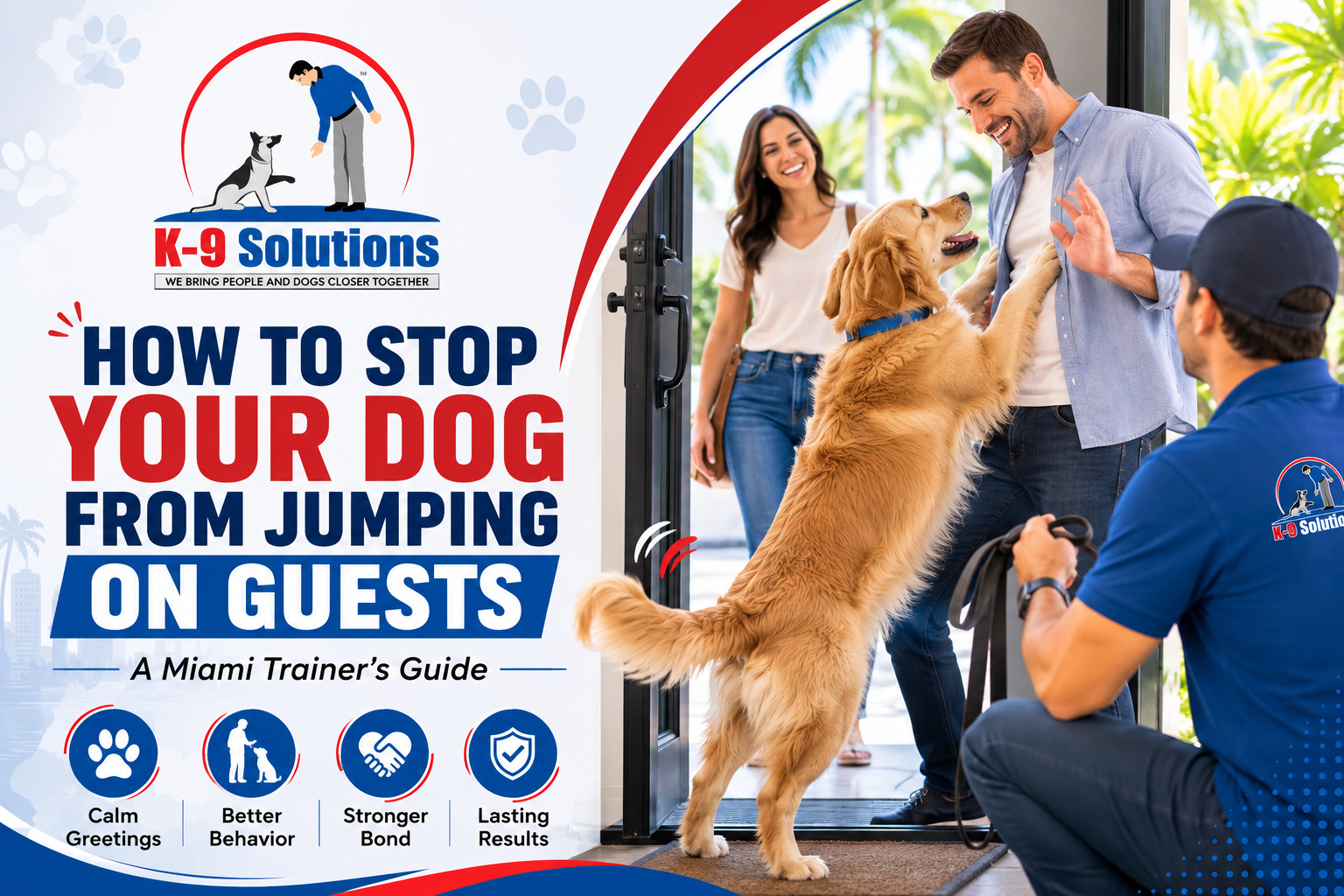 How to stop your dog from jumping on guests with professional dog training from K-9 Solutions in Miami.